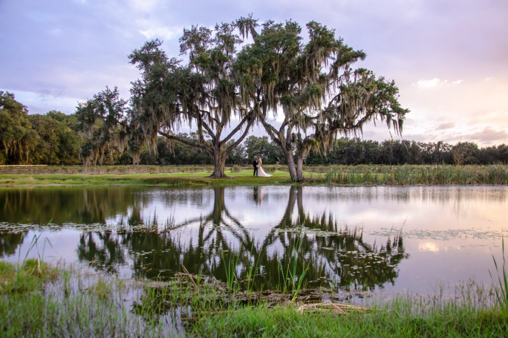 Wedding photographer Tampa