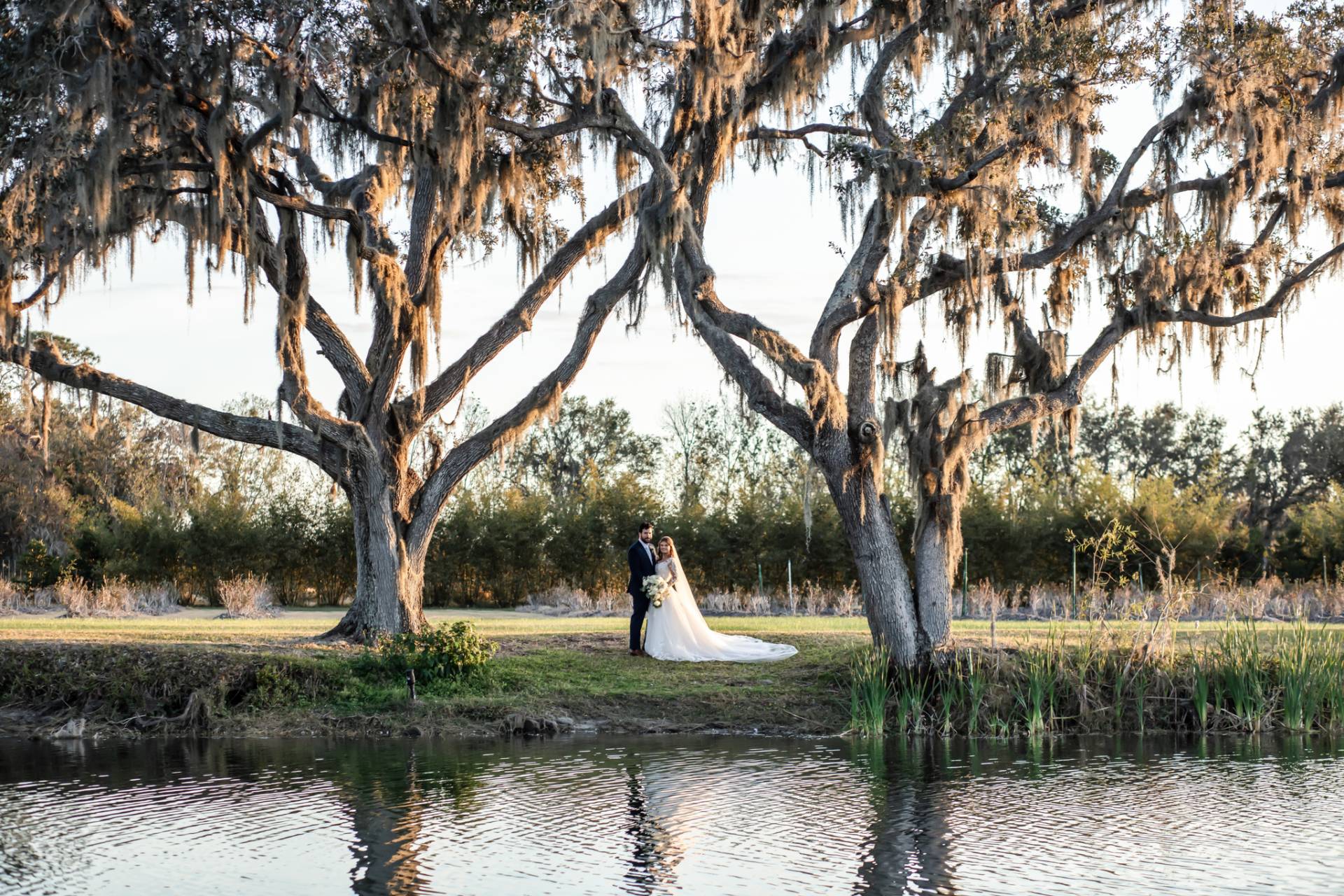 Bride and groom standing between two huge trees with the lake in front of them